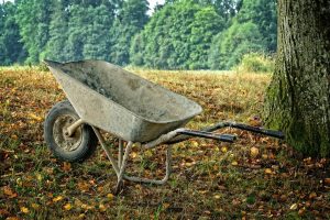 tuin onderhoud heiloo hovenier